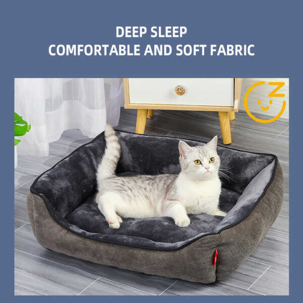 YDG PET Supplier CHINA